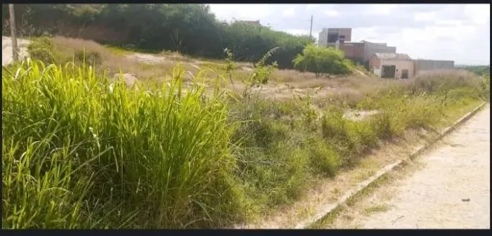 Terreno 6 por 21