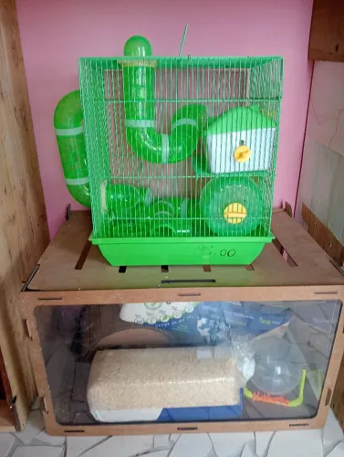 Casa de roedor e terrário /dependendo da localização, facilito entrega.