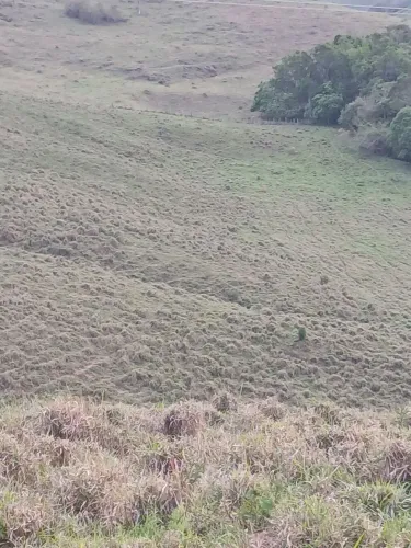 Vendo terreno