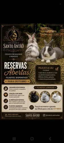 Reservas de filhotes de minilion