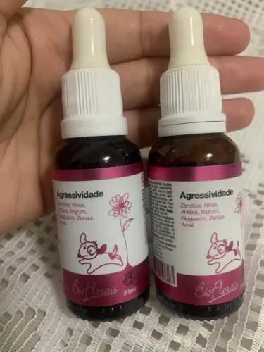 Floral para pet 