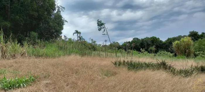Área de terras à venda com 3.000 m². Bairro Bavária, Nova Petrópolis RS! REF: 807