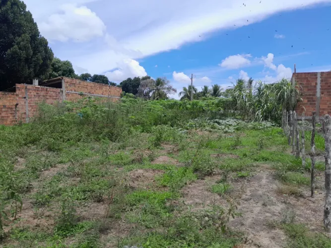 VENDE-SE TERRENO EM ITAPORANGA