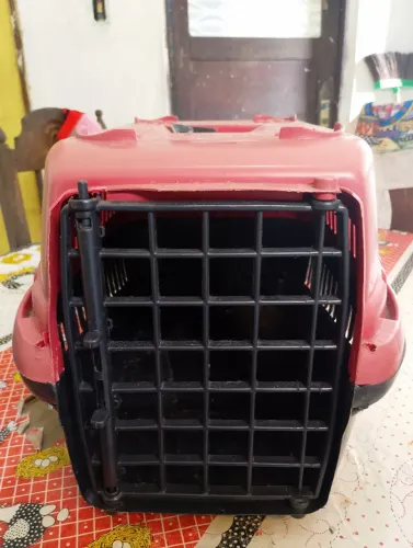 Vendo transporte podyum
