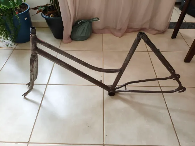 Quadro bicicleta tropical