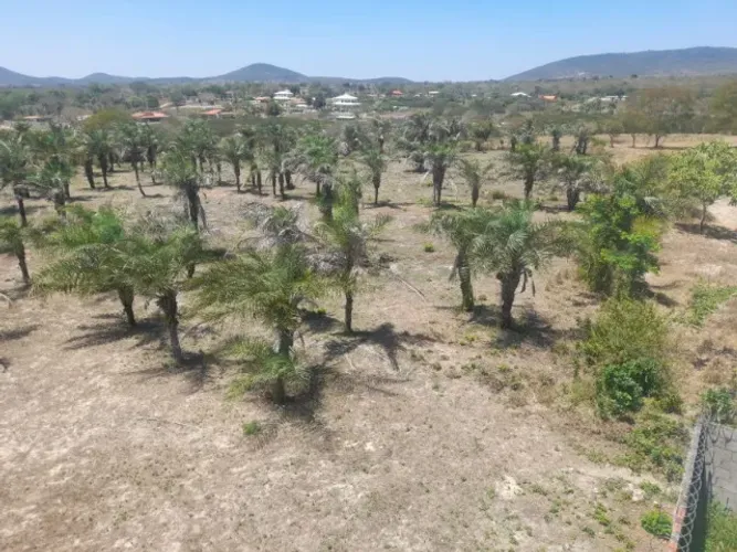 LOTE DE 13068M²