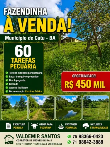 Vendo excelente fazendinha no município de catu