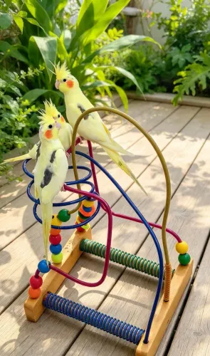 BRINQUEDO PARA CALOPSITA