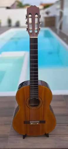 Violão Takamine EG124