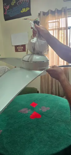 Ventilador Latina raro pás gigantes, todo revisado