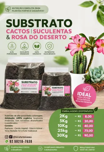 Substrato para cactos suculentas e rosa do deserto