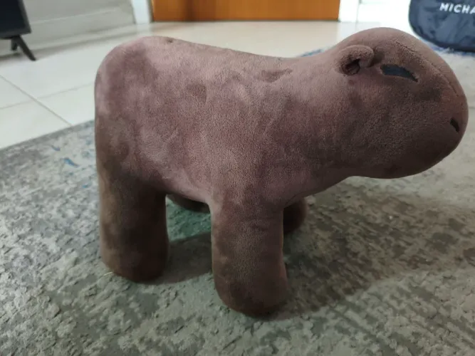 Capivara Criamigos