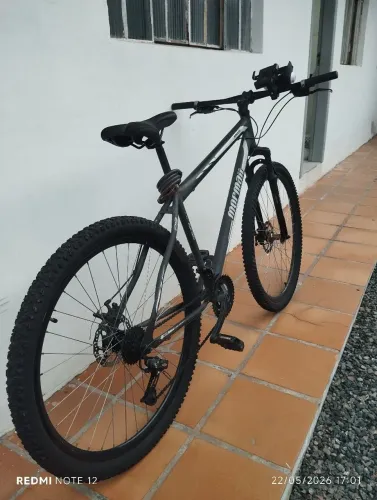 Bicicleta Mormaii Aro 29
