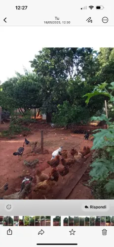 Chácara no Campos Dourados 5.031m2