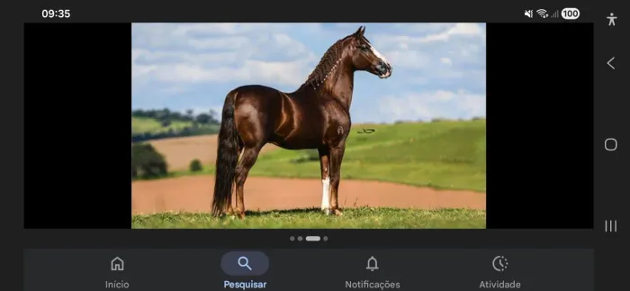 Para sair rápido