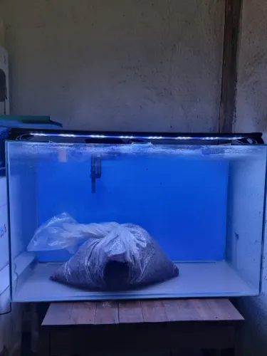 Vendo Aguário 115 litros(80x30x48)