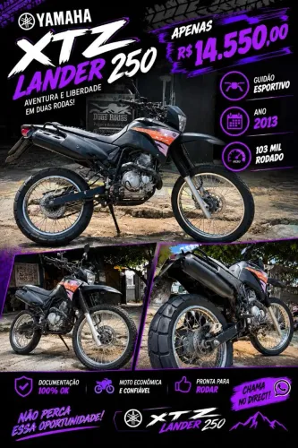 Lander 12/13