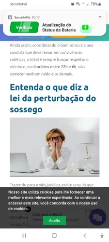 MARAVILHOSO TAPETE PERSA