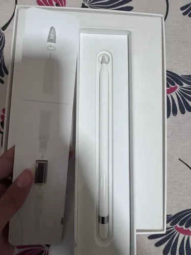 iPad 256gb brinde Apple Pencil 