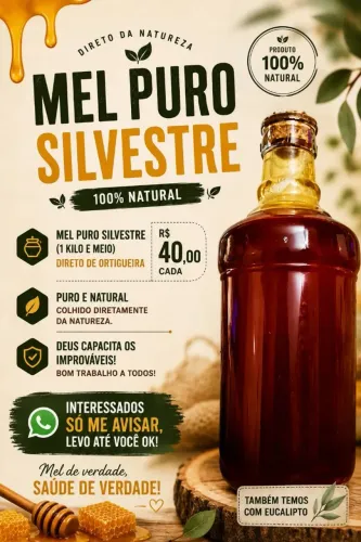 Mel Silvestre 1 kilo e meio (Puro De Ortigueira)