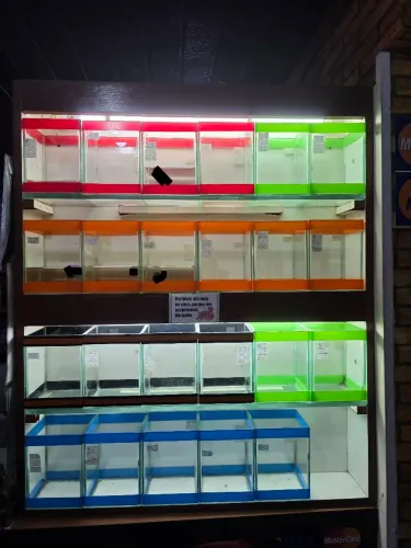 Expositor de betta 350,00