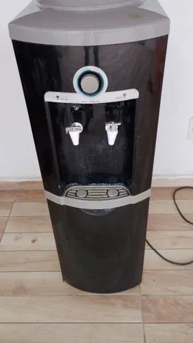 Gelagua