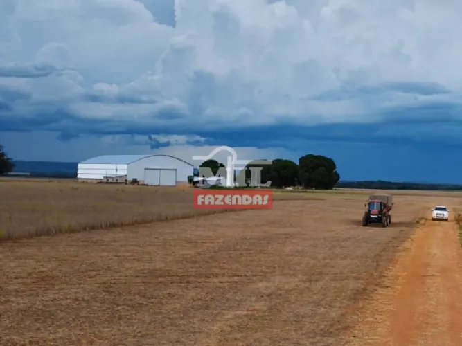 Fazenda em Nova Xavantina- MT 555 Hectares