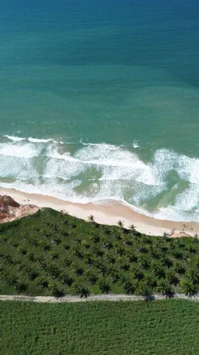 Terreno à venda, 1120000 m² por R$ 58.000.000,00 - Algarobas - Jequié/BA