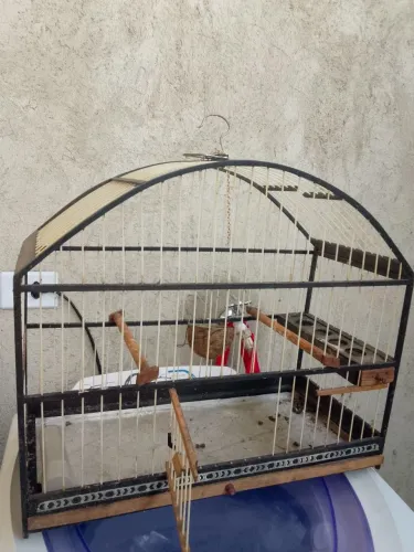 Vendo Gaiolas usadas 