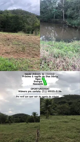 Sítio / Chácara - 2.300m2