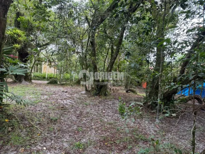 Terreno regularizado na Praia do Farol das Conchas - Ilha do Mel