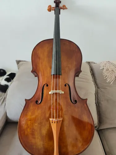 Violoncelo de autor