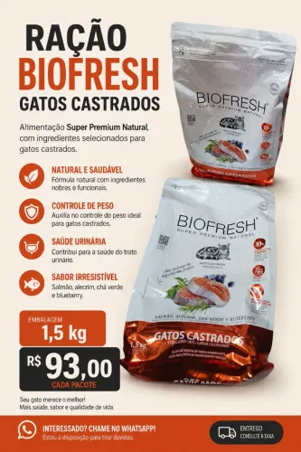 Ração Gato