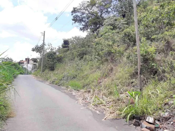 Lote Bairro - Comiteco