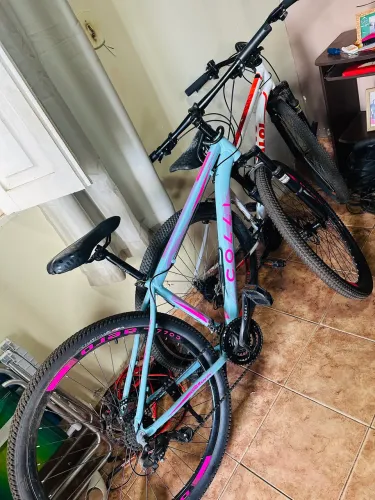 Bicicleta
