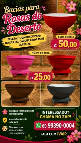 Bacias rosas do deserto e Lixeira cimento