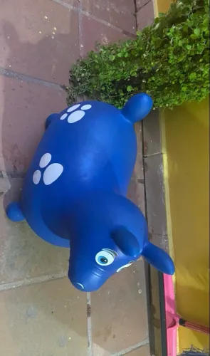 Cavalinho upa upa do Gugu
