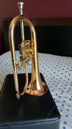 Flugelhorn Condor