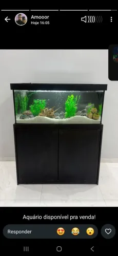 Aquarios apronta entrega 