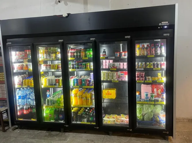 Freezer de lacticios