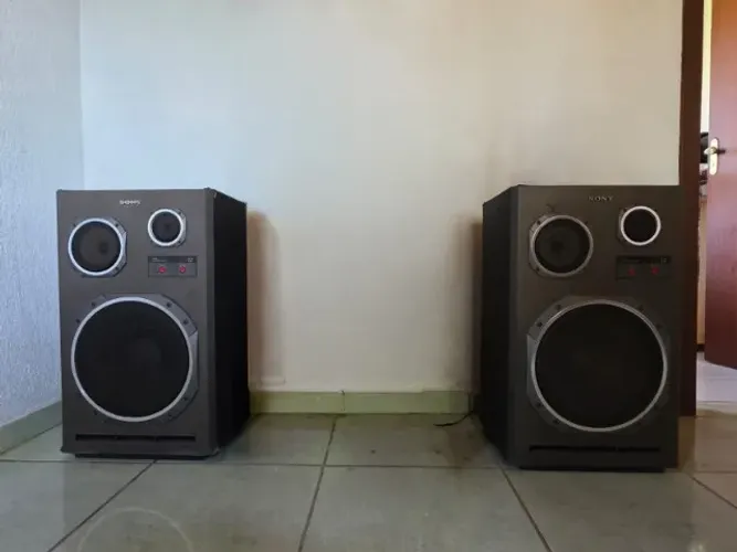 Caixa de som Sony GX12 SS-S205BS, 60W RMS