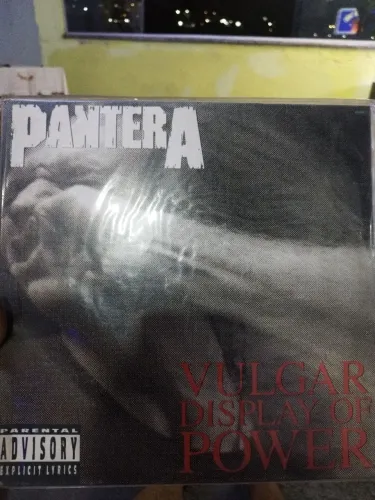 Discos de vinil 
