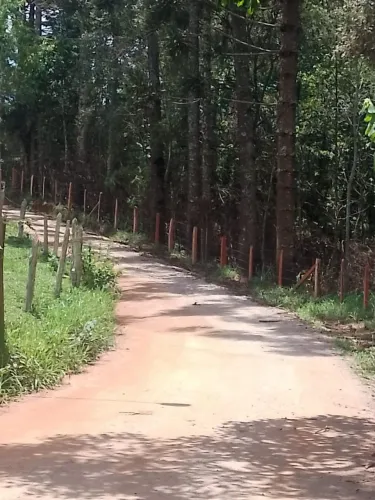 Terreno Em Extrena Com 13mil Metros