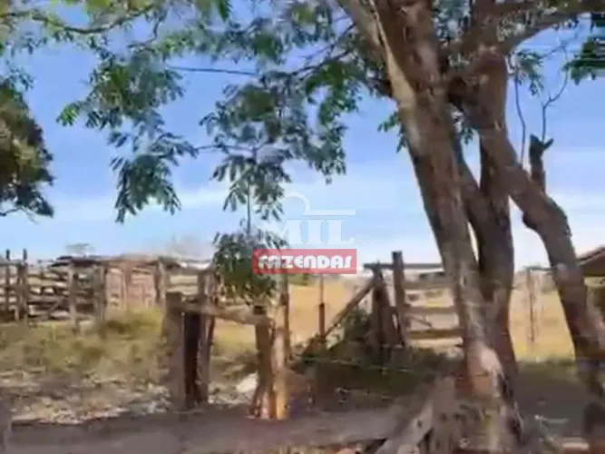 Chácara 10 alqueires (49,36 hectares) - Santa Rosa de Goiás