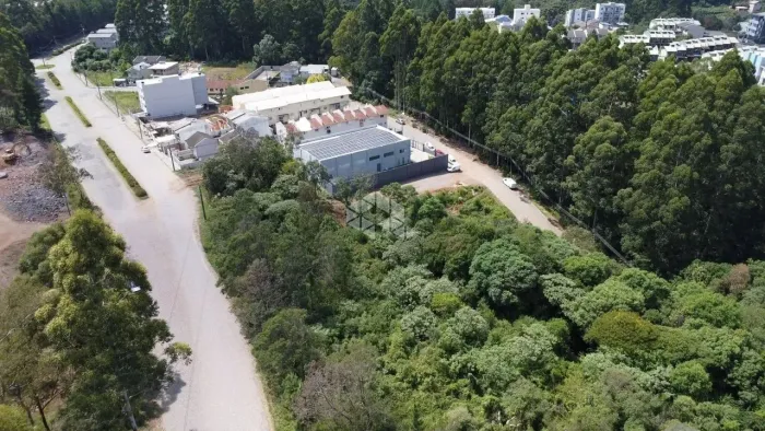 Terreno à venda, Forqueta, Caxias do Sul, RS