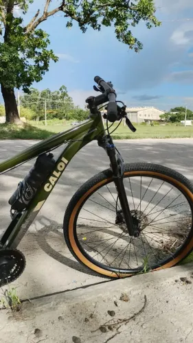 Bicicleta Aro 29