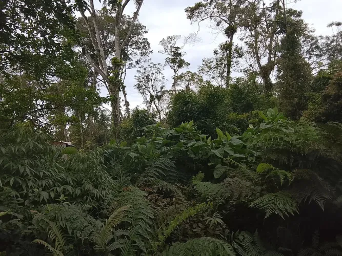 Terreno Itapoá sc