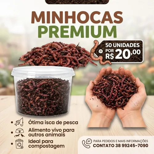 50 MINHOCAS POR 20,00 REAIS