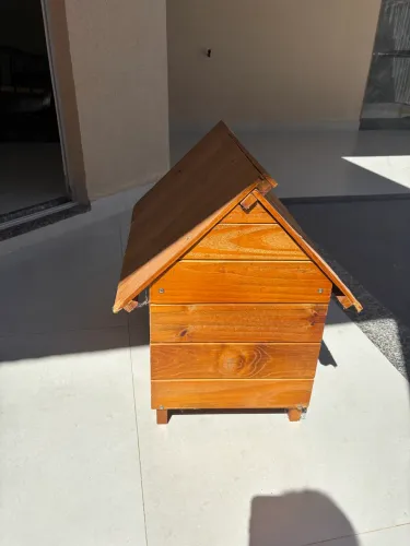 Casa cachorro