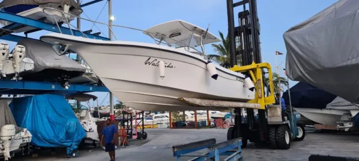 Lancha Fishing 265 Saint Tropez | Evinrude E-TEC 225 HP | 550 Horas | Excelente Estado